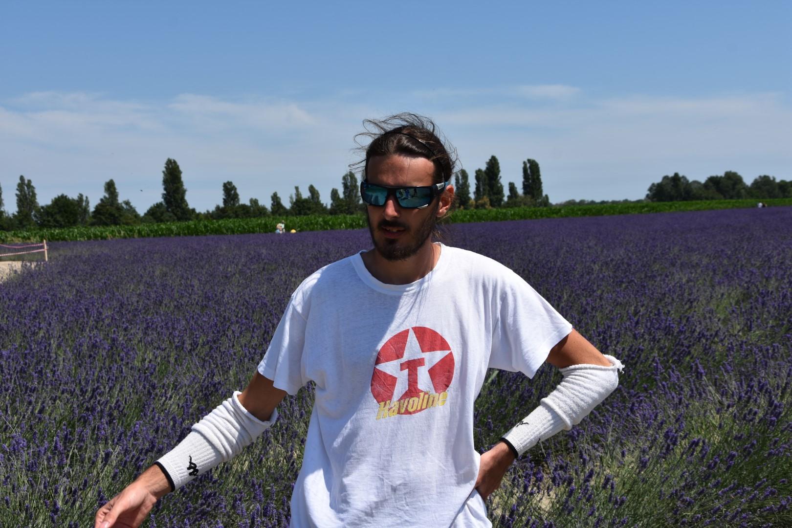 Magia Viola Cosi Il Campo Diventa Un Incanto Foto 1 Di 28 La Voce Di Rovigo