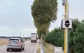 "Tutor illegale": depositata la querela