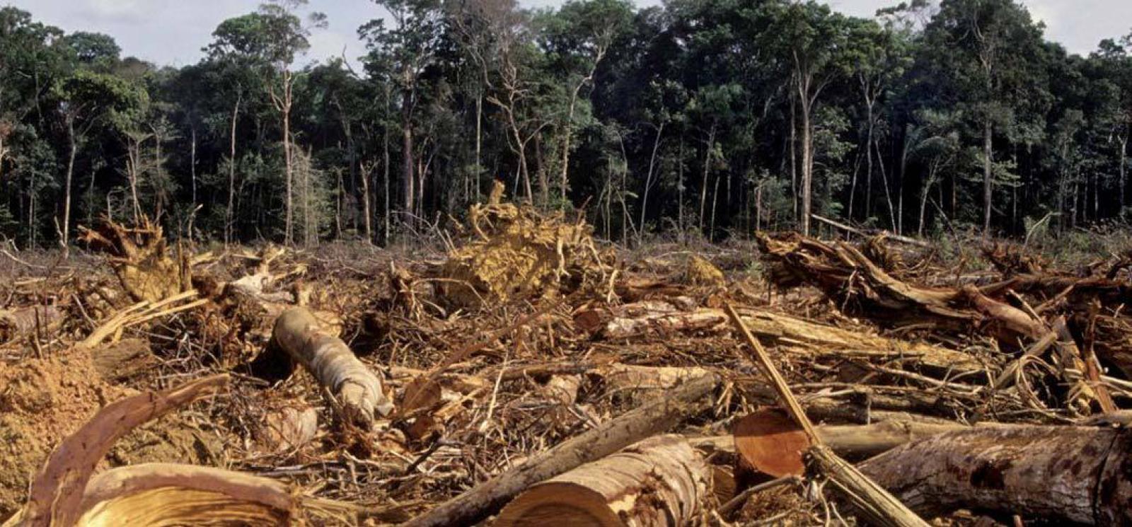 Disboscamento nel Parco del Delta, chiesto mezzo milione di risarcimento