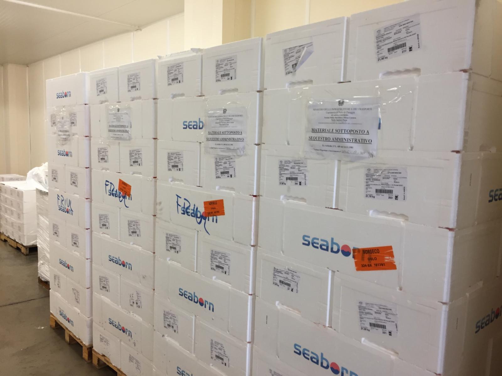 Porto Viro, sei tonnellate di pesce irregolare sequestrato