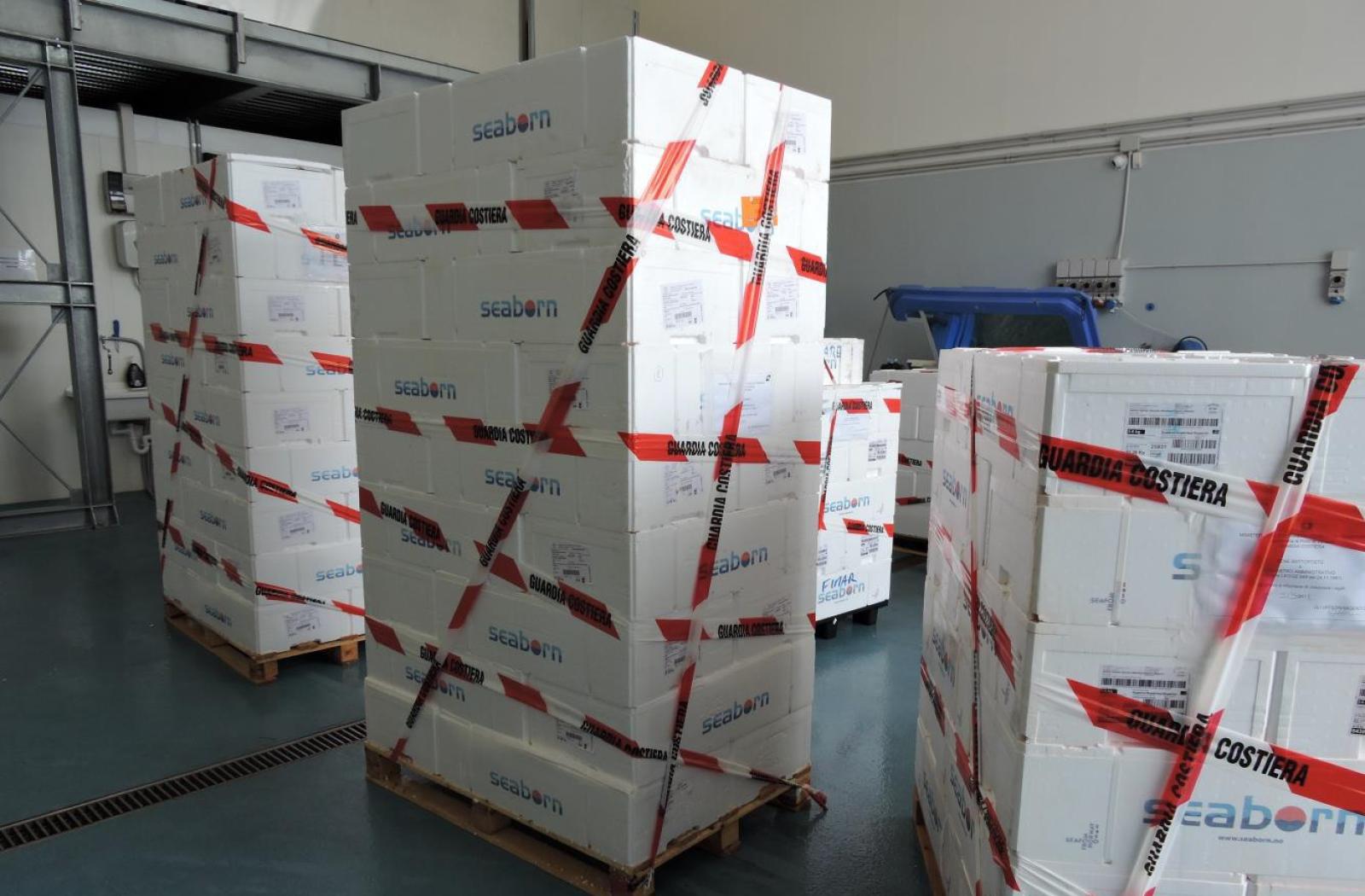 Maxi sequestro di pesce fresco e congelato a una azienda polesana