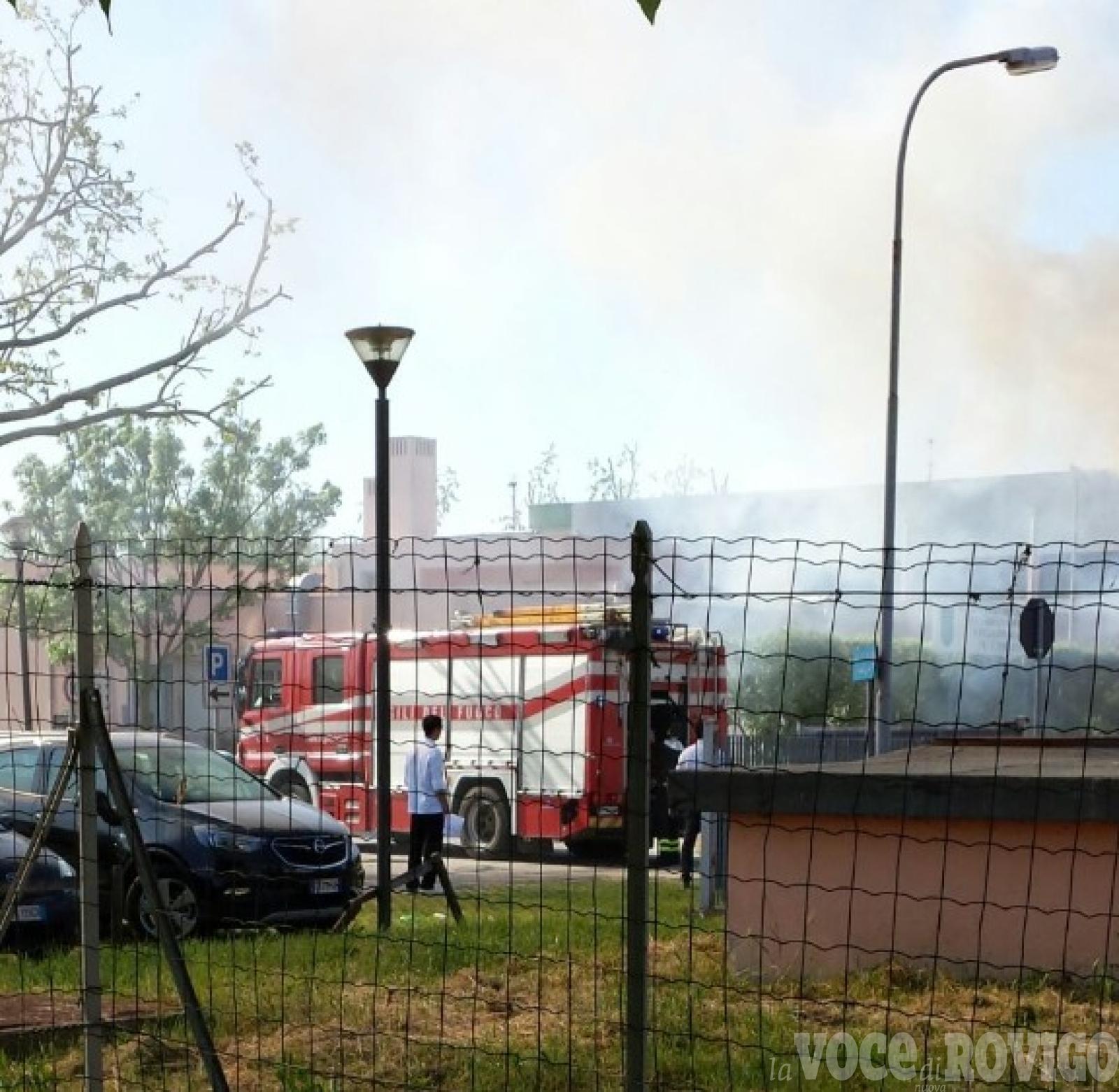 Incendio alla siepe dell'istituto alberghiero