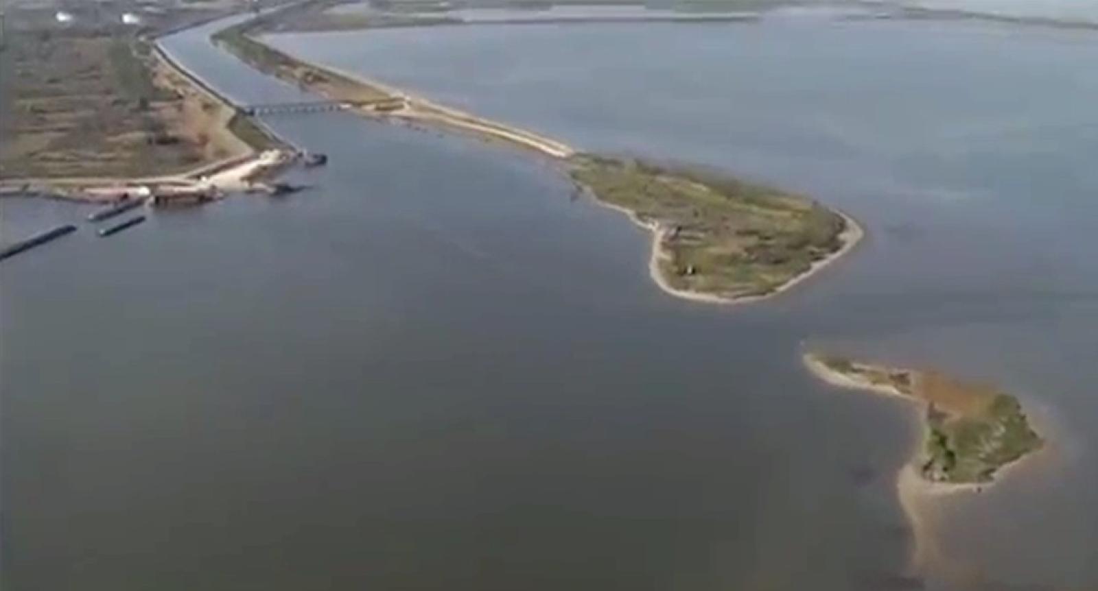 Laguna poco salata, moria di vongole