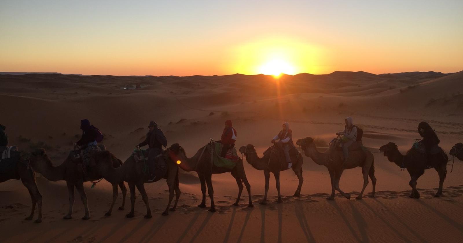 Tunisia, fra sabbia finissima ed escursioni in dromedario