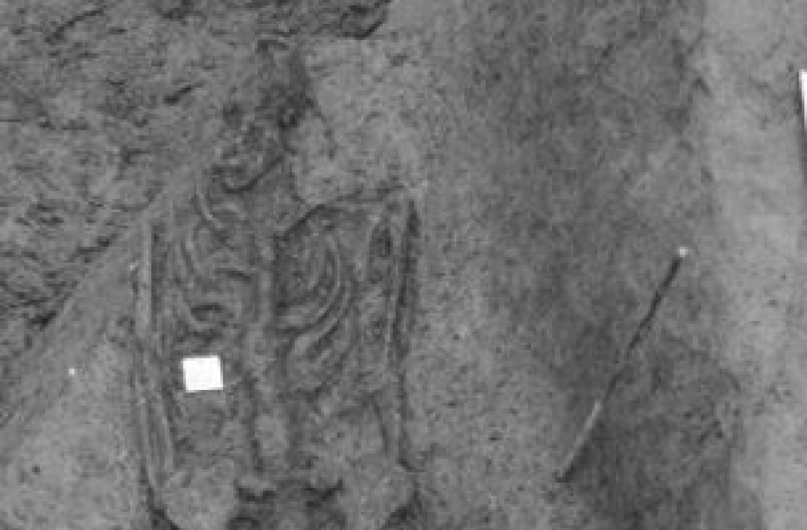 Ritrovati i resti di uno schiavo crocifisso in epoca romana