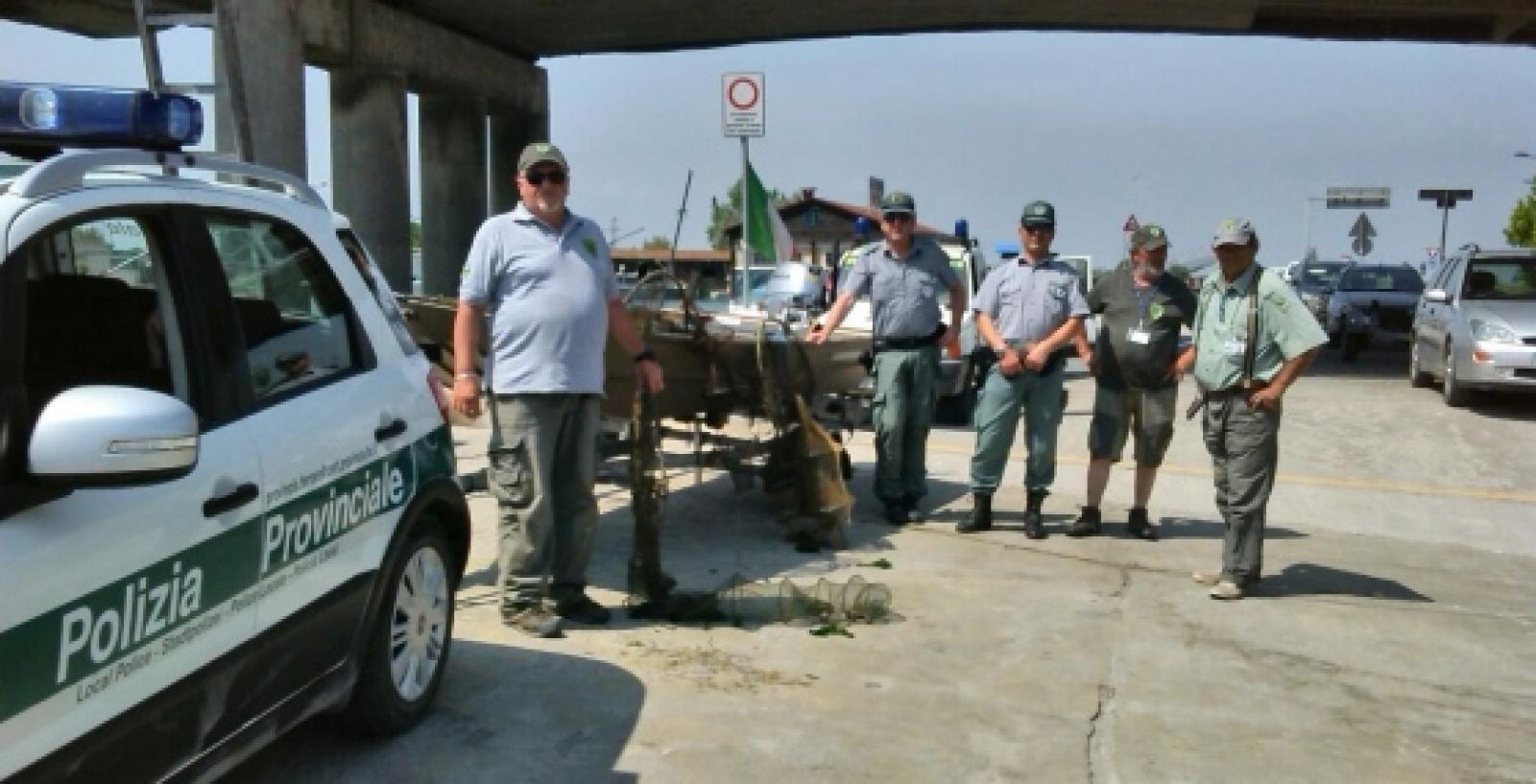 Pesca abusiva, liberati dieci chili di anguille e centinaia di granchi