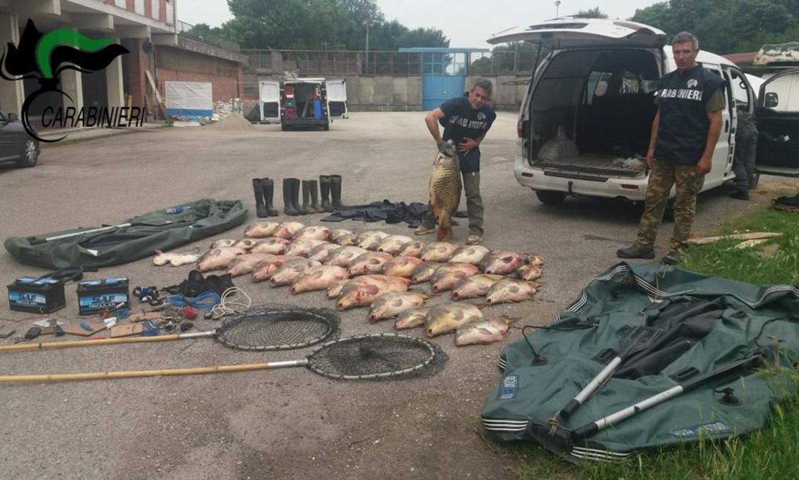 "Grandi carabinieri, bracconieri spazzati via"