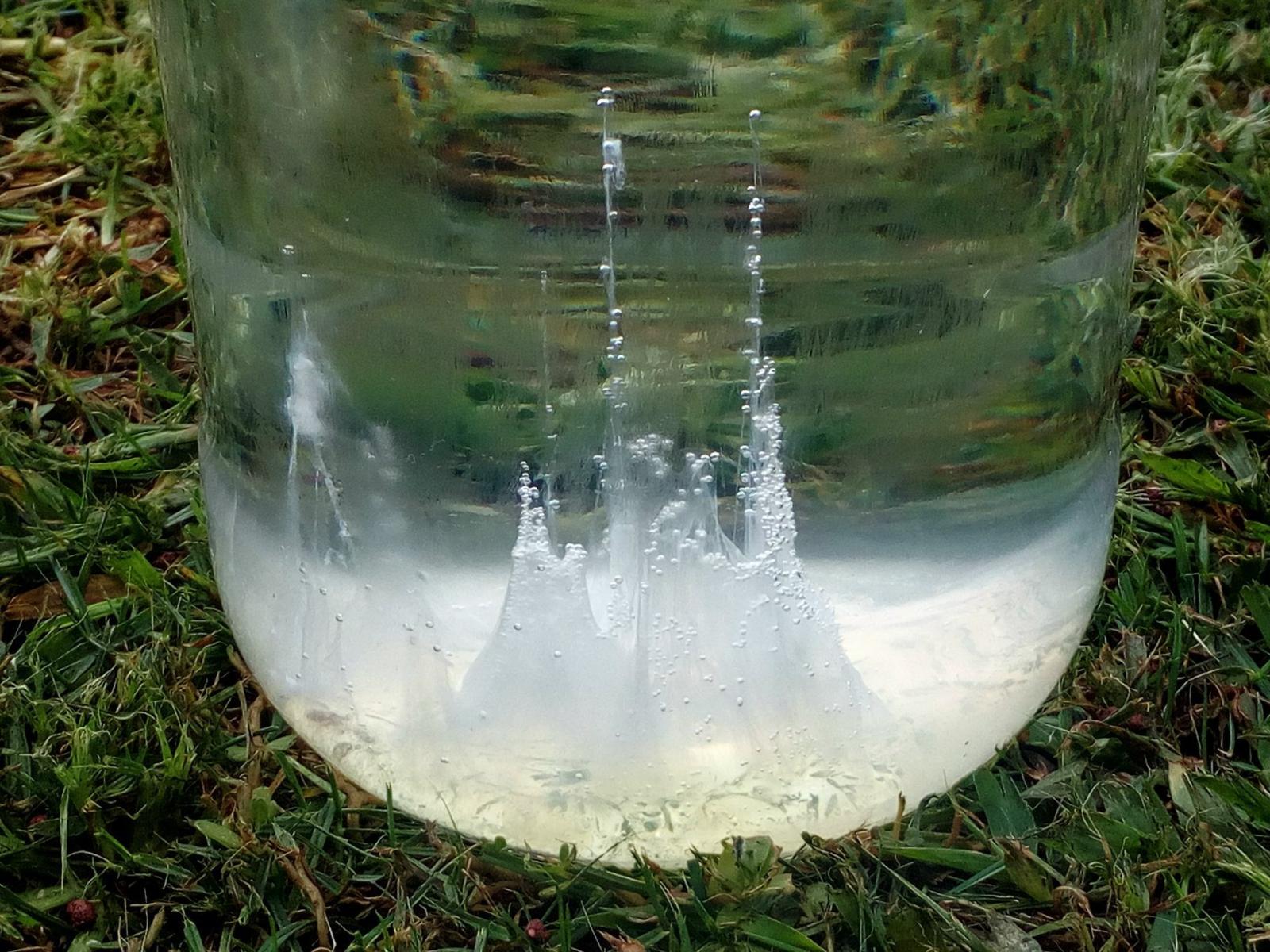 Barca di San Pietro, una carrellata di foto