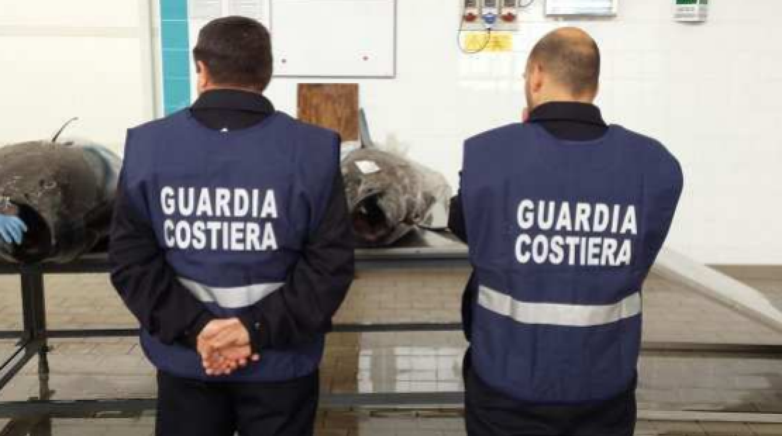 Sequestrati 5 quintali di tonno rosso in un deposito 