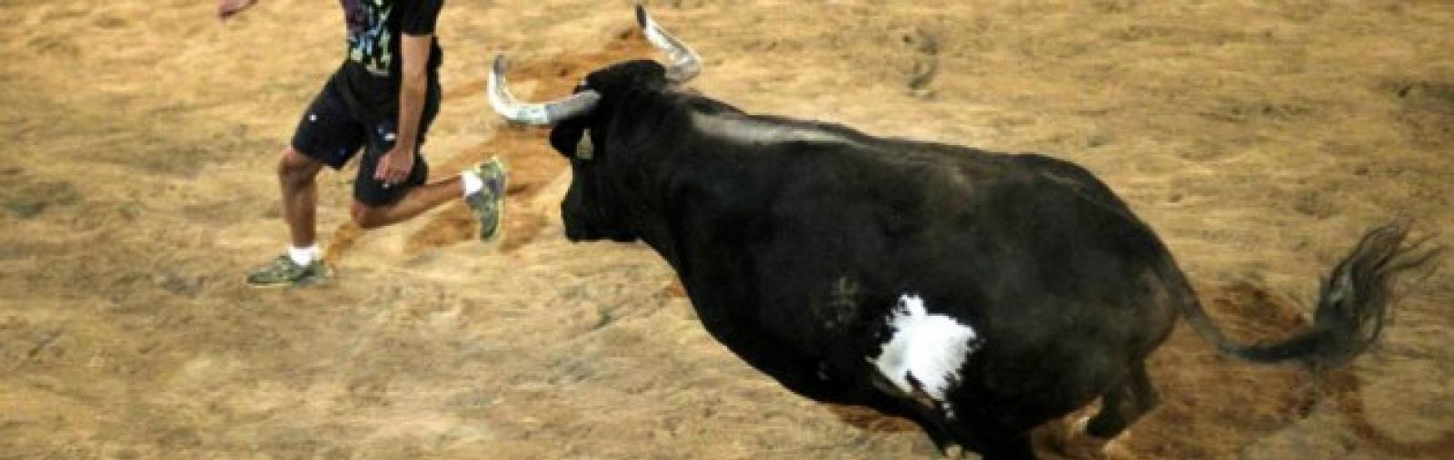 Incornato da un toro, &egrave; grave