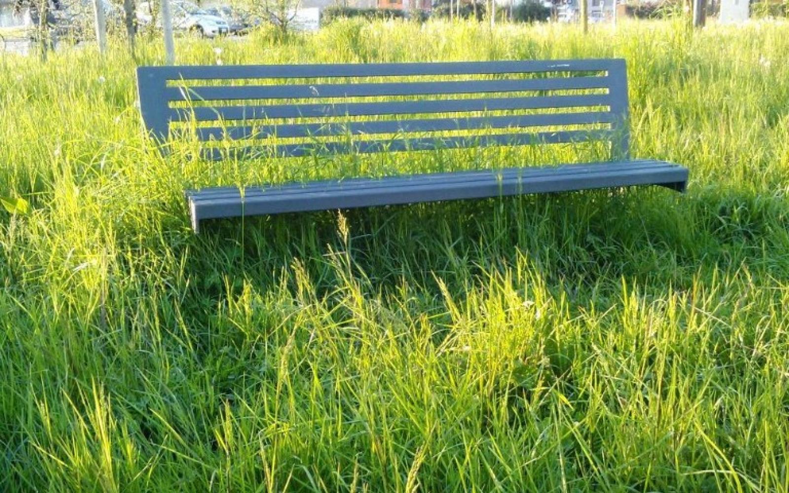 "Multe per chi non taglia l'erba"