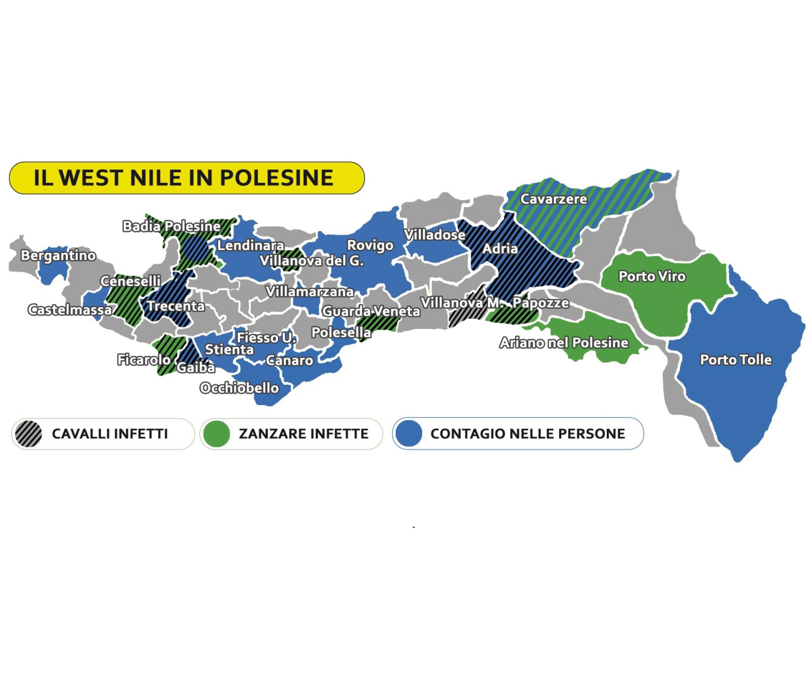 West Nile, sono 45 i focolai in Polesine