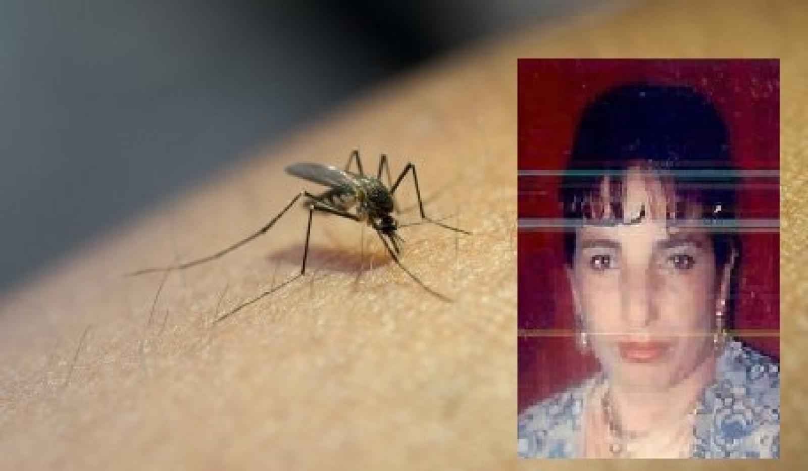 Mamma di 5 figli muore di West Nile: primo caso in Polesine