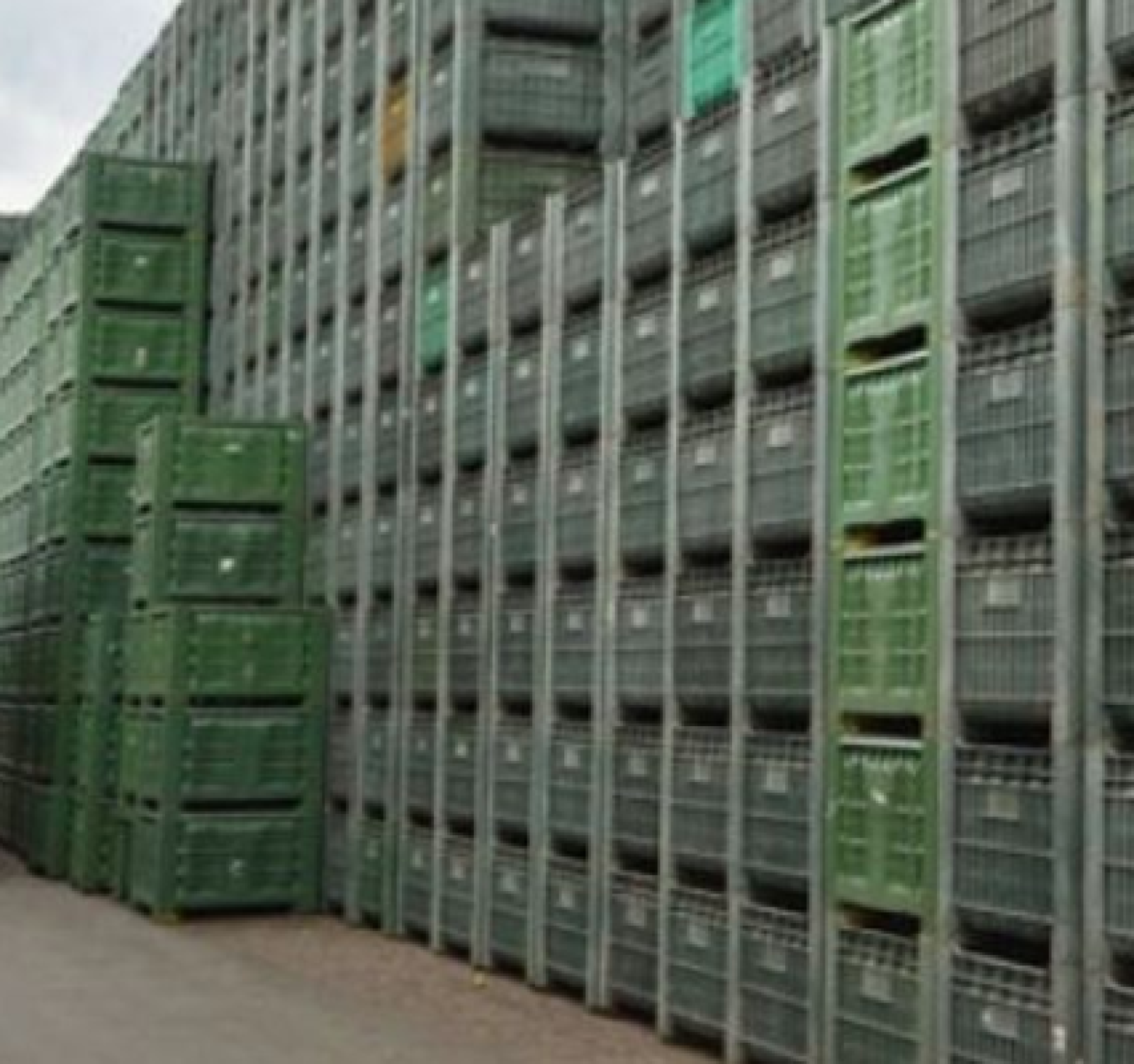 Chiude la fidanzata in una cassa per mele lasciandola nei campi per punizione