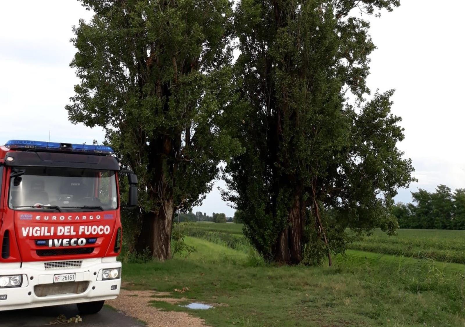 Fulmine centra un pioppo e lo incendia