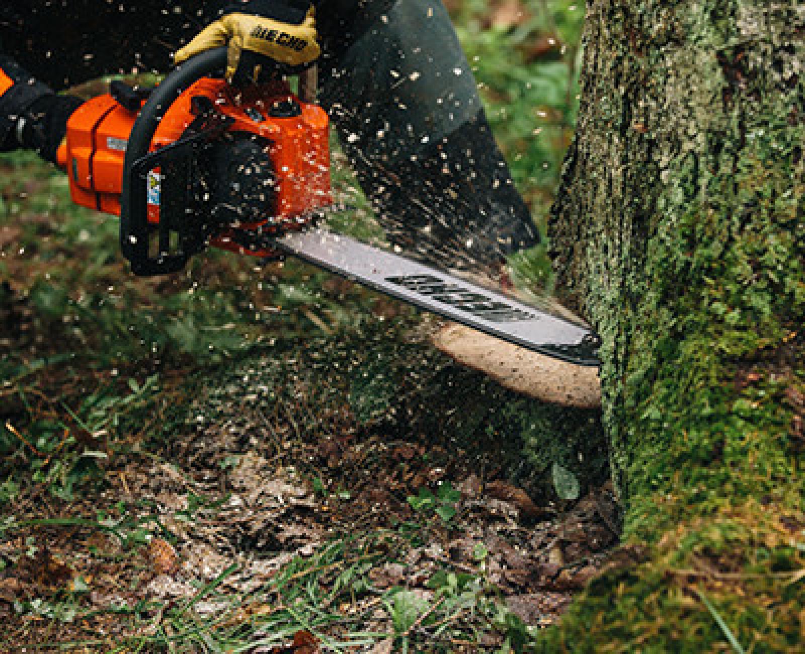 Si ferisce alle gambe con una motosega, 47enne all'ospedale