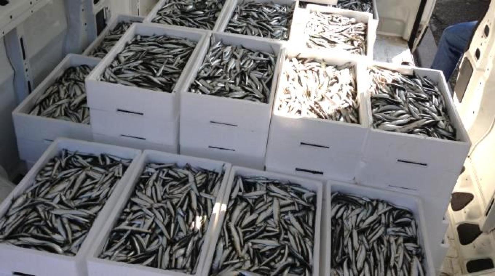 Scooterista cade su una "montagnola" di pesce abbandonato