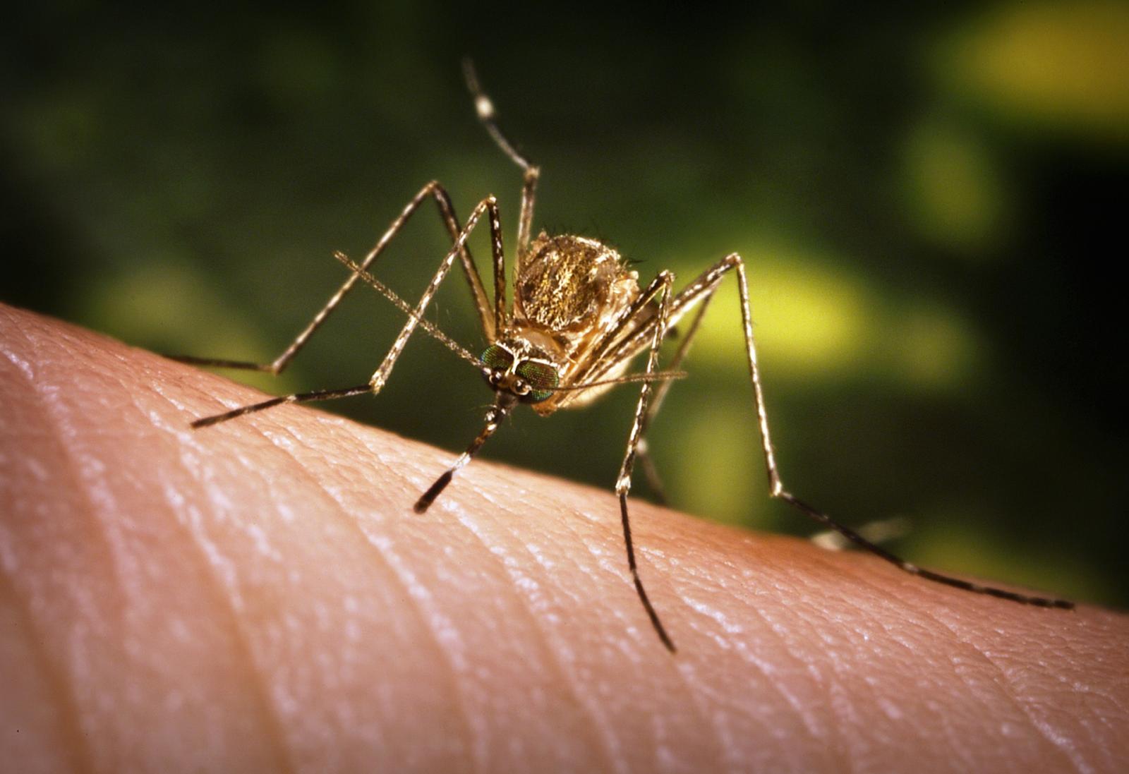 West Nile, undici medici indagati dopo il decesso di un paziente