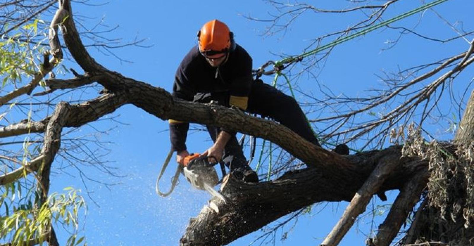 Operaio cade dalla scala e sbatte violentemente la testa 