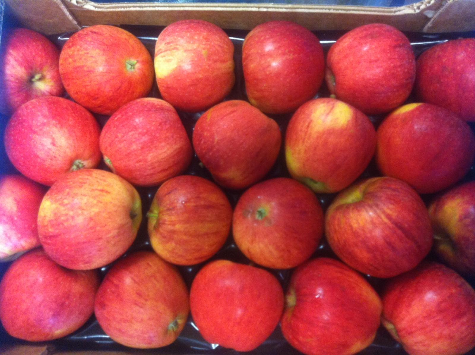 Mele spacciate per biologiche nelle marmellate dei bimbi: il maxi raggiro