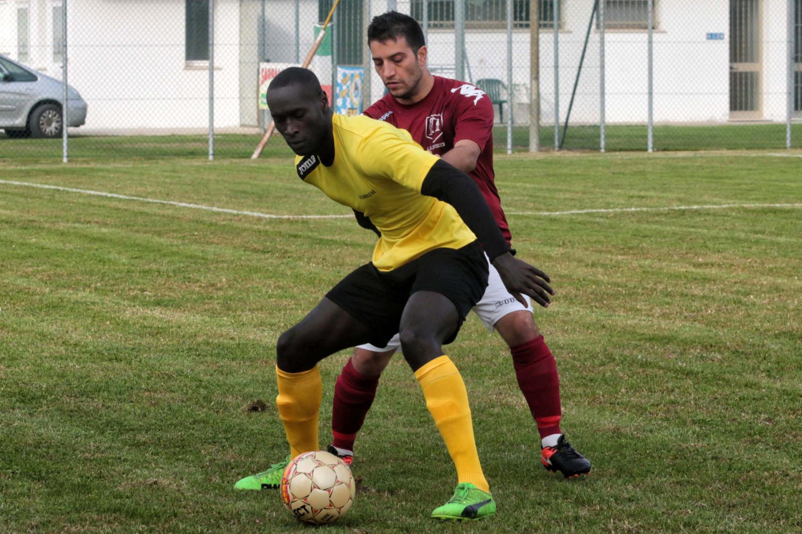 Boccato-Diallo tandem di Viaro