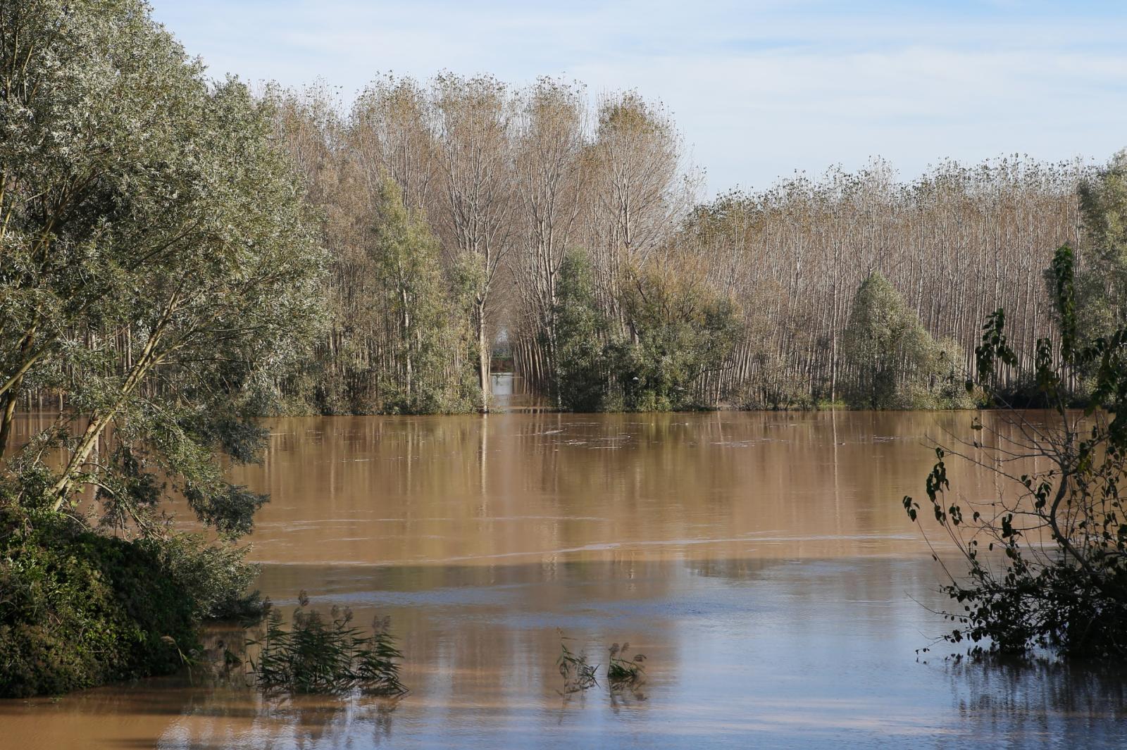 Lavori per 8,5 milioni di euro