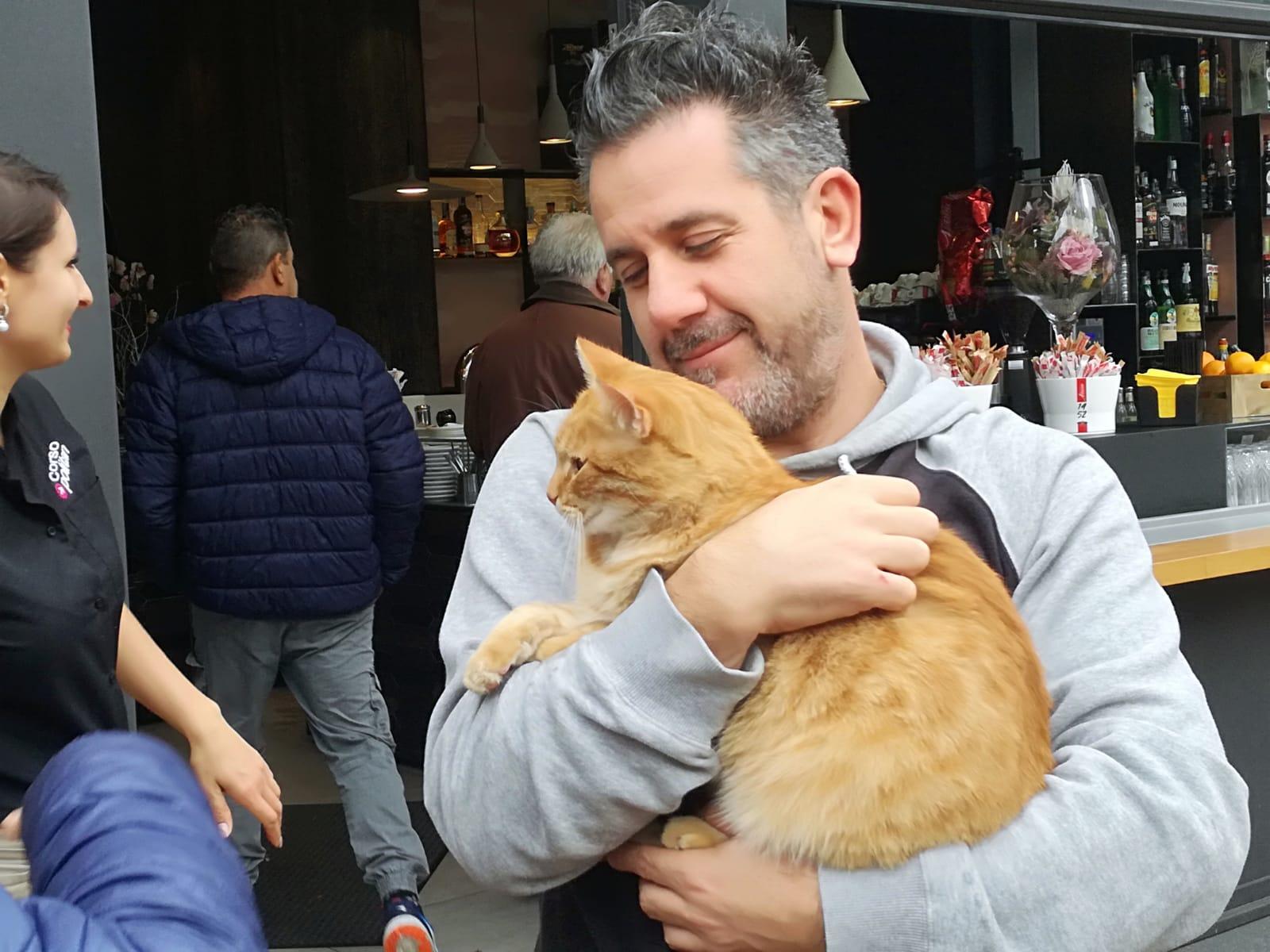 Anche Gatto Rossini in attesa di Corona