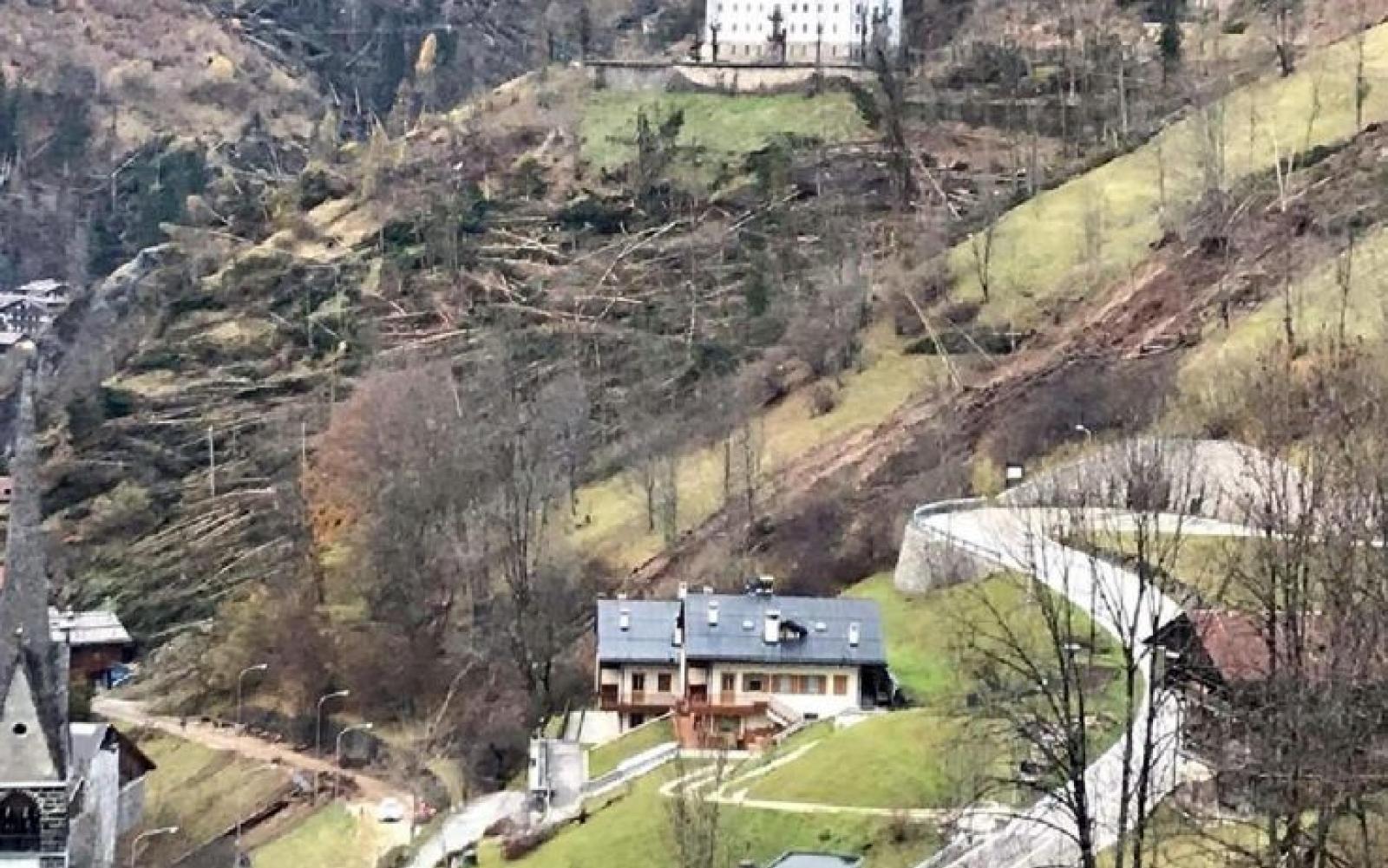 "Volete essere autonomi? Marcite con i vostri pini"