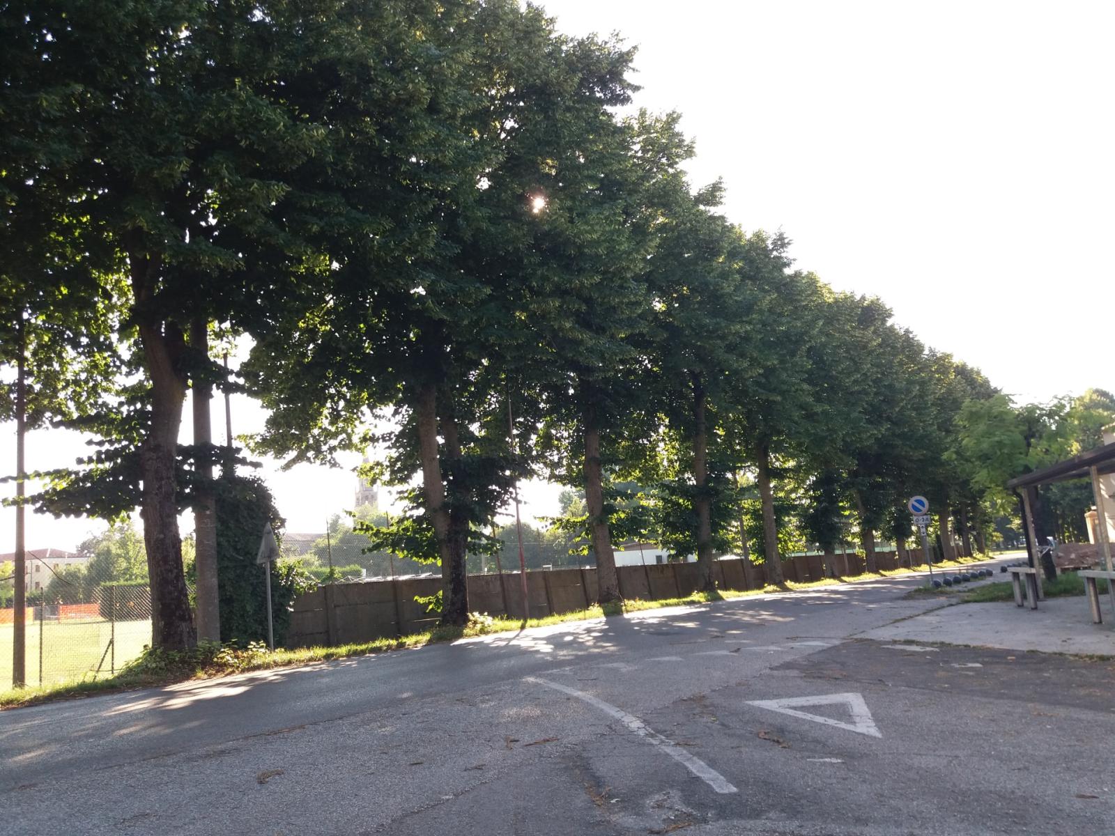 Via libera alla nuova pista ciclo-pedonale