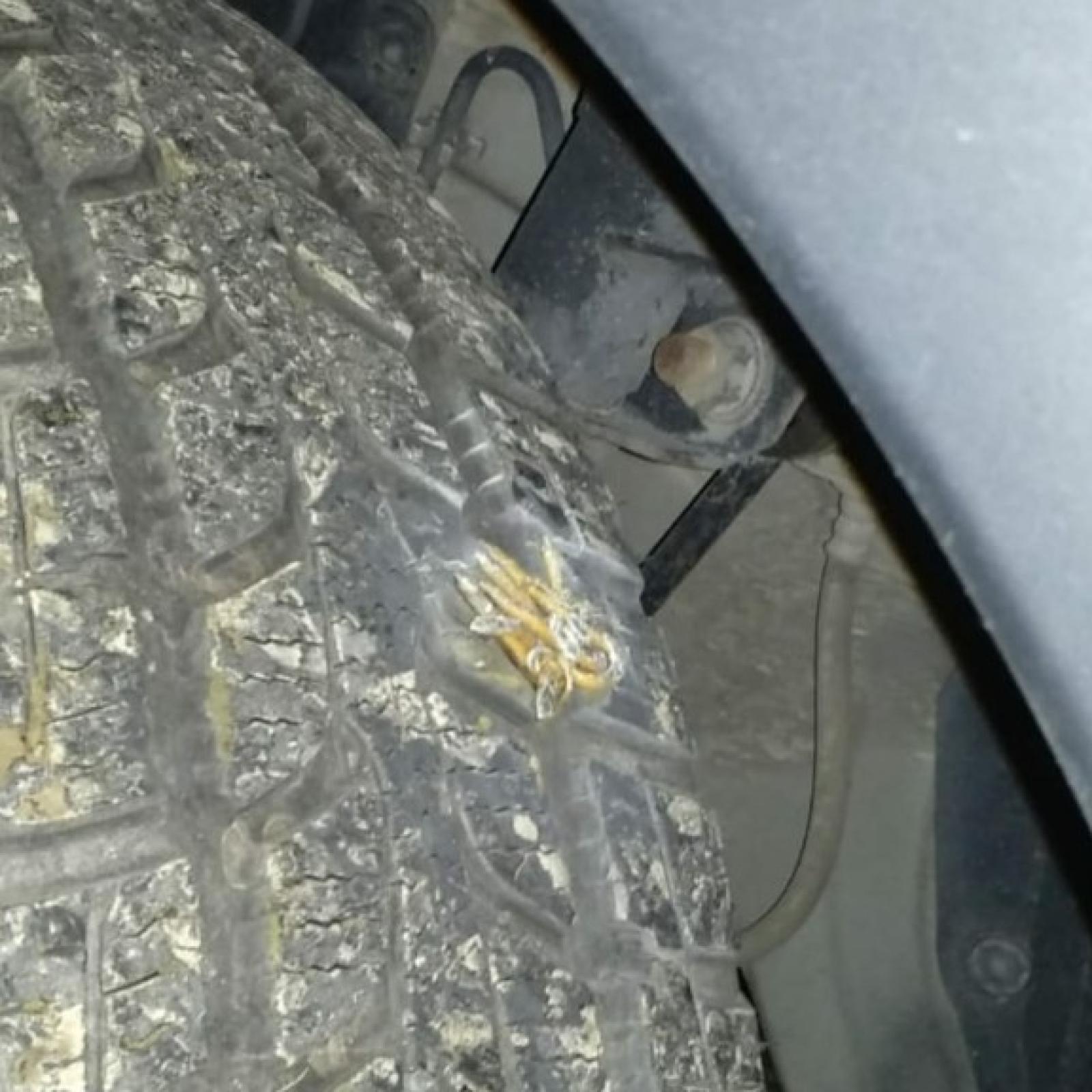 Ancora chiodi in via Zennaro: &egrave; psicosi