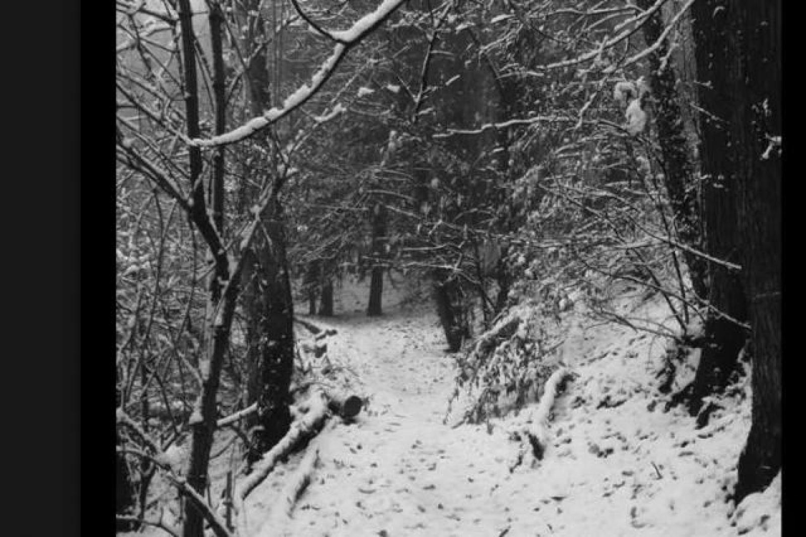 Arriva la prima nevicata della stagione