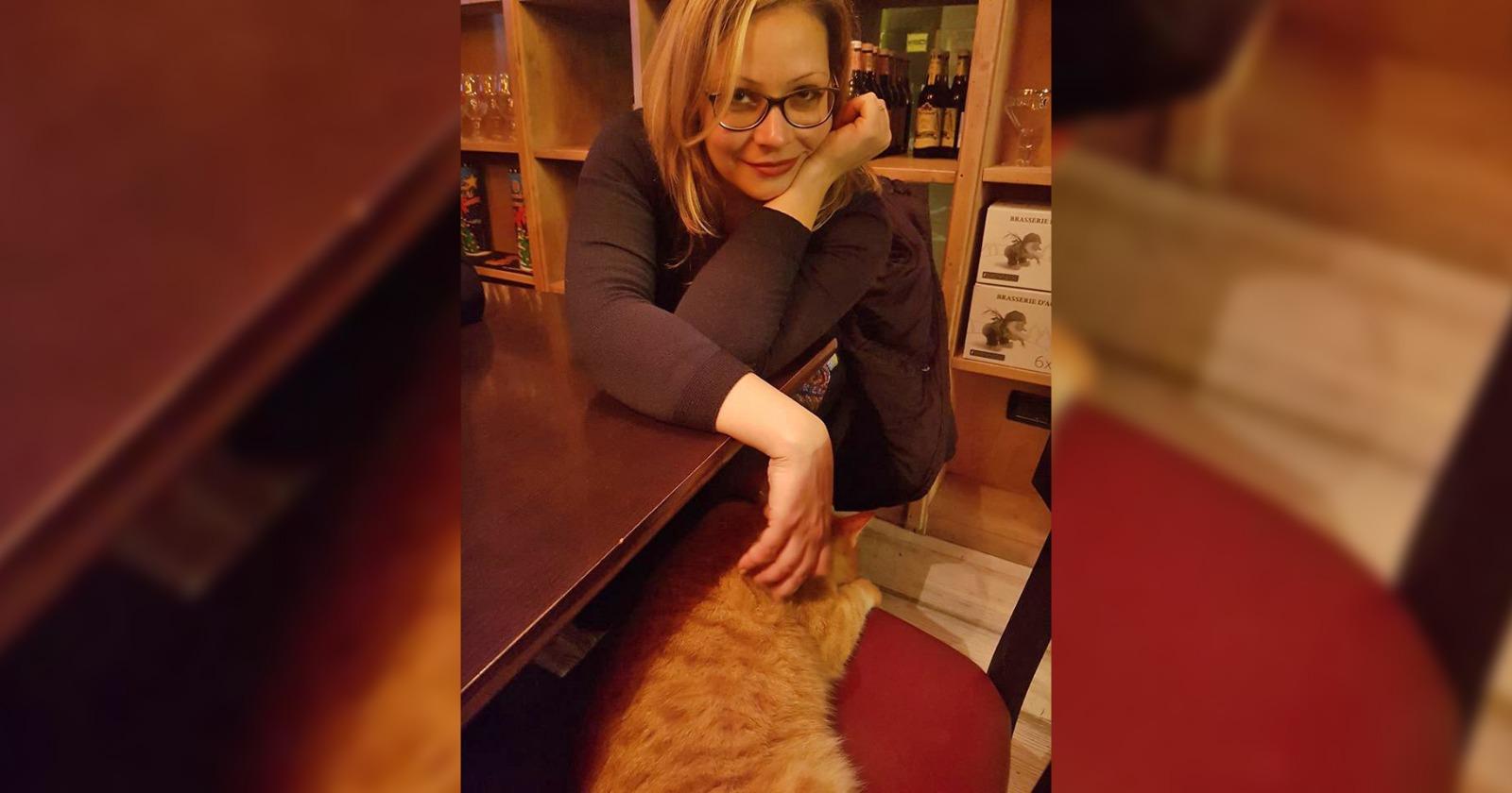 Gatto Rossini fa irruzione nel bar