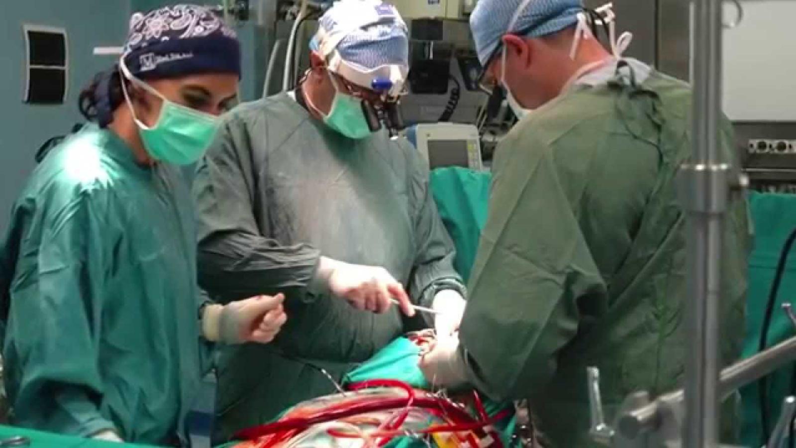 Batterio killer, a rischio infezione anche molti polesani operati al cuore a Padova, Verona o in Emilia 