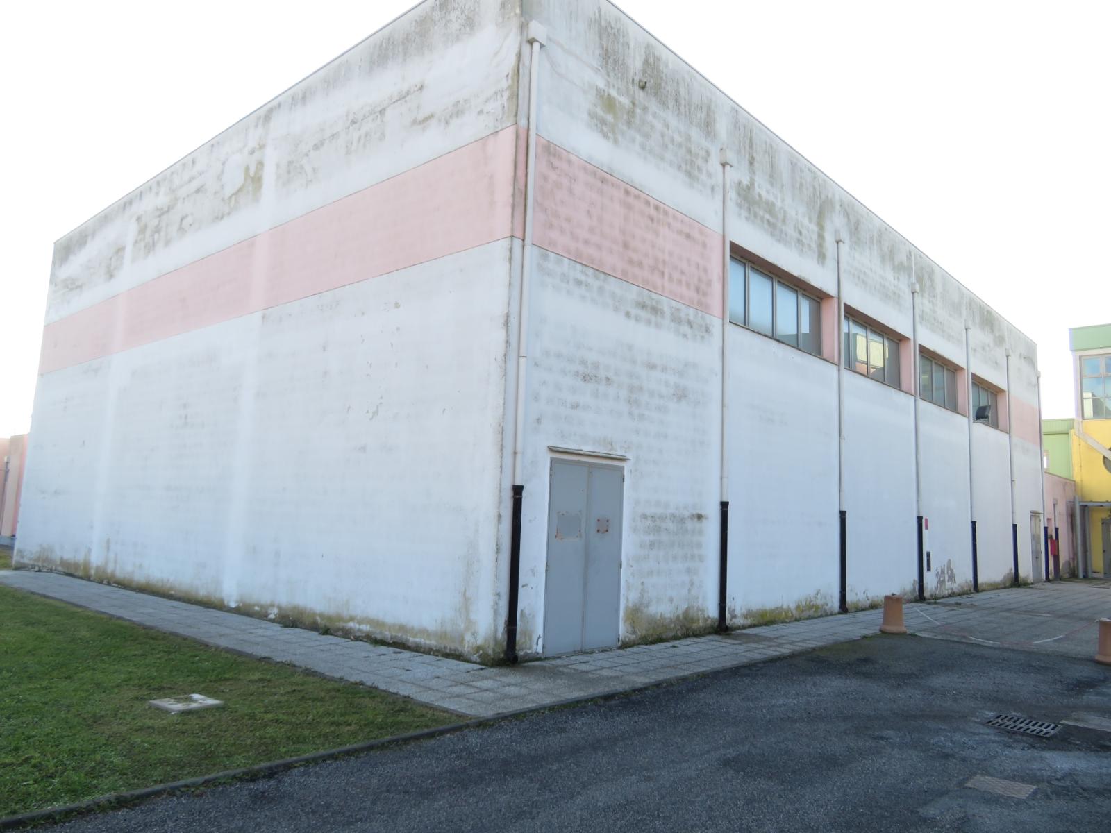 Educazione motoria sfidando il gelo