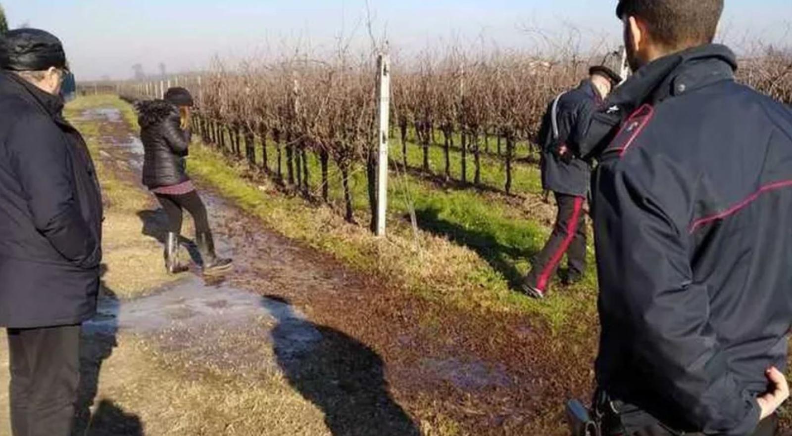 Problemi all'impianto di depurazione: vigneto inondato dalla melma