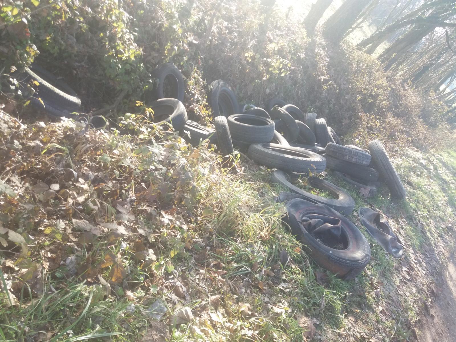 Gli ecovandali colpiscono ancora