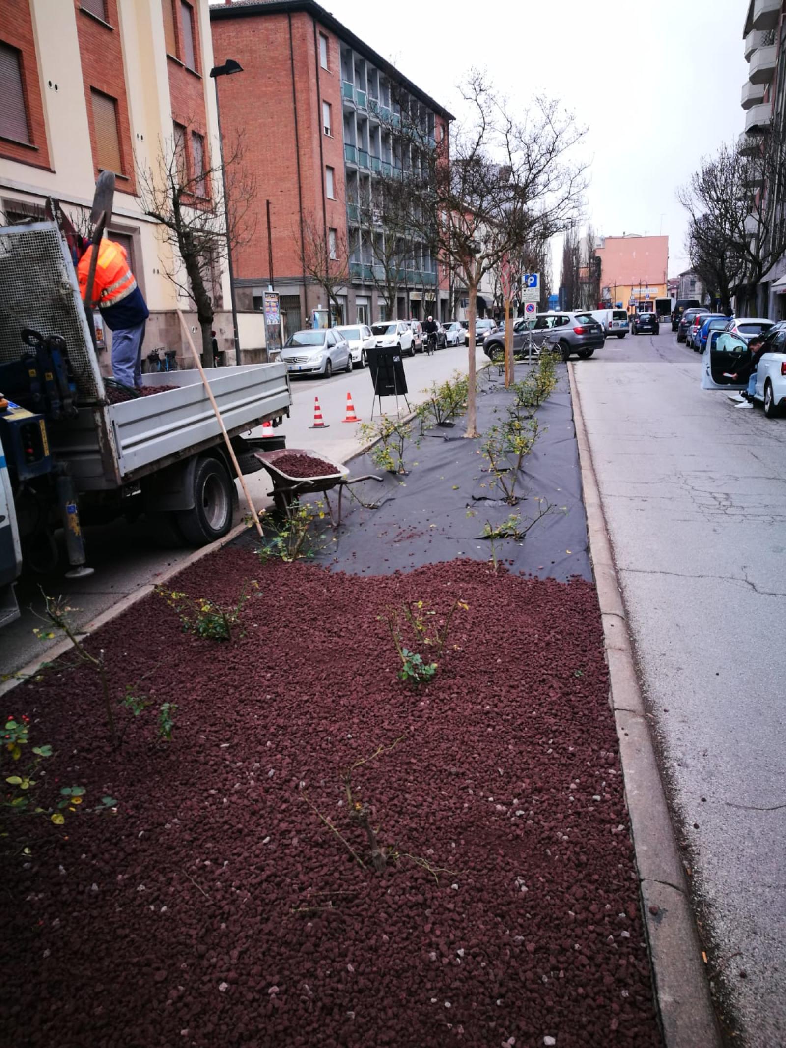 La proposta: "Aiuole di rose in adozione"