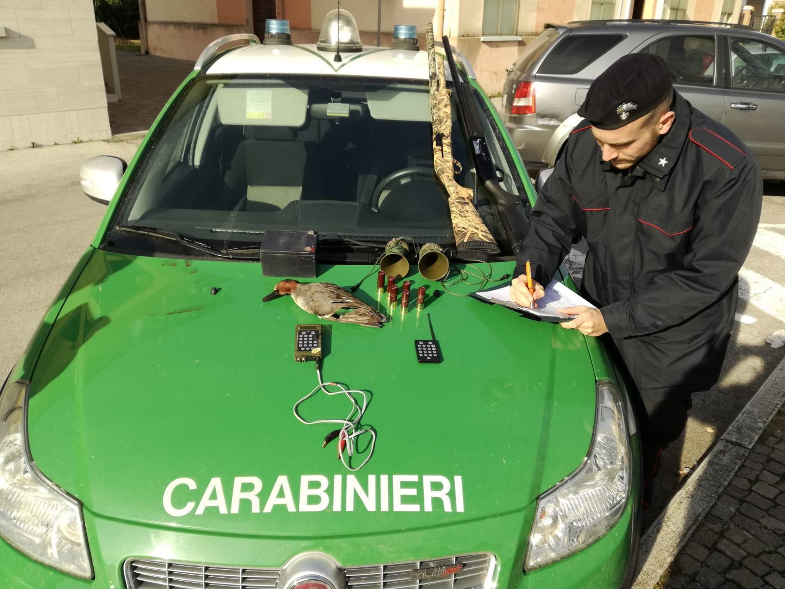 Bracconaggio nel Delta, denunce e sequestri