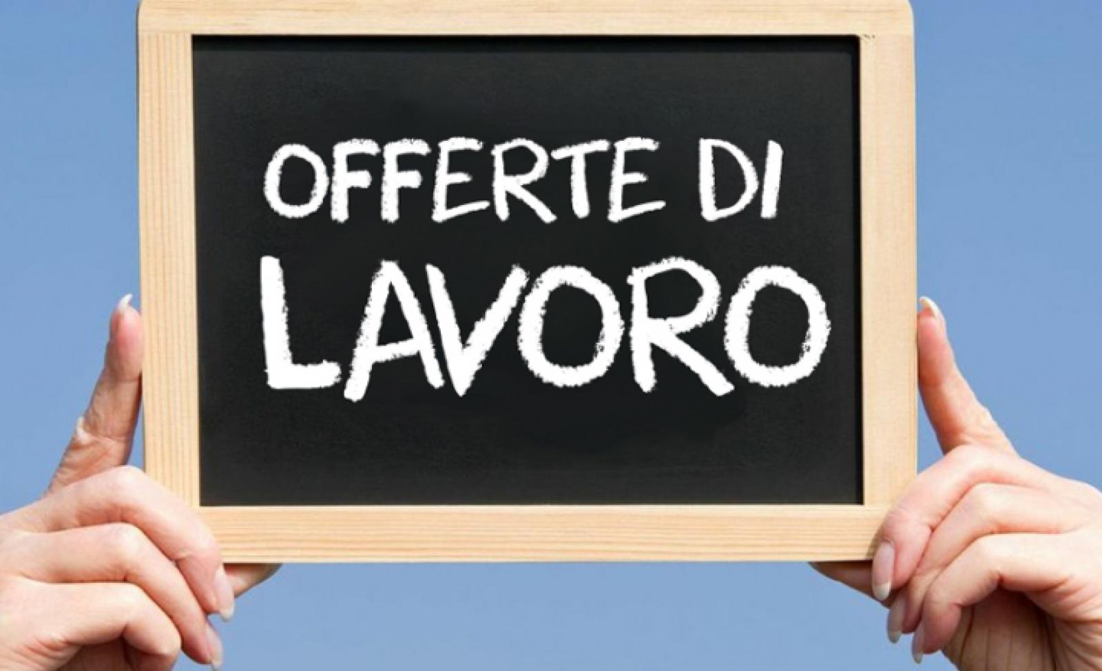 Offerte a Rovigo