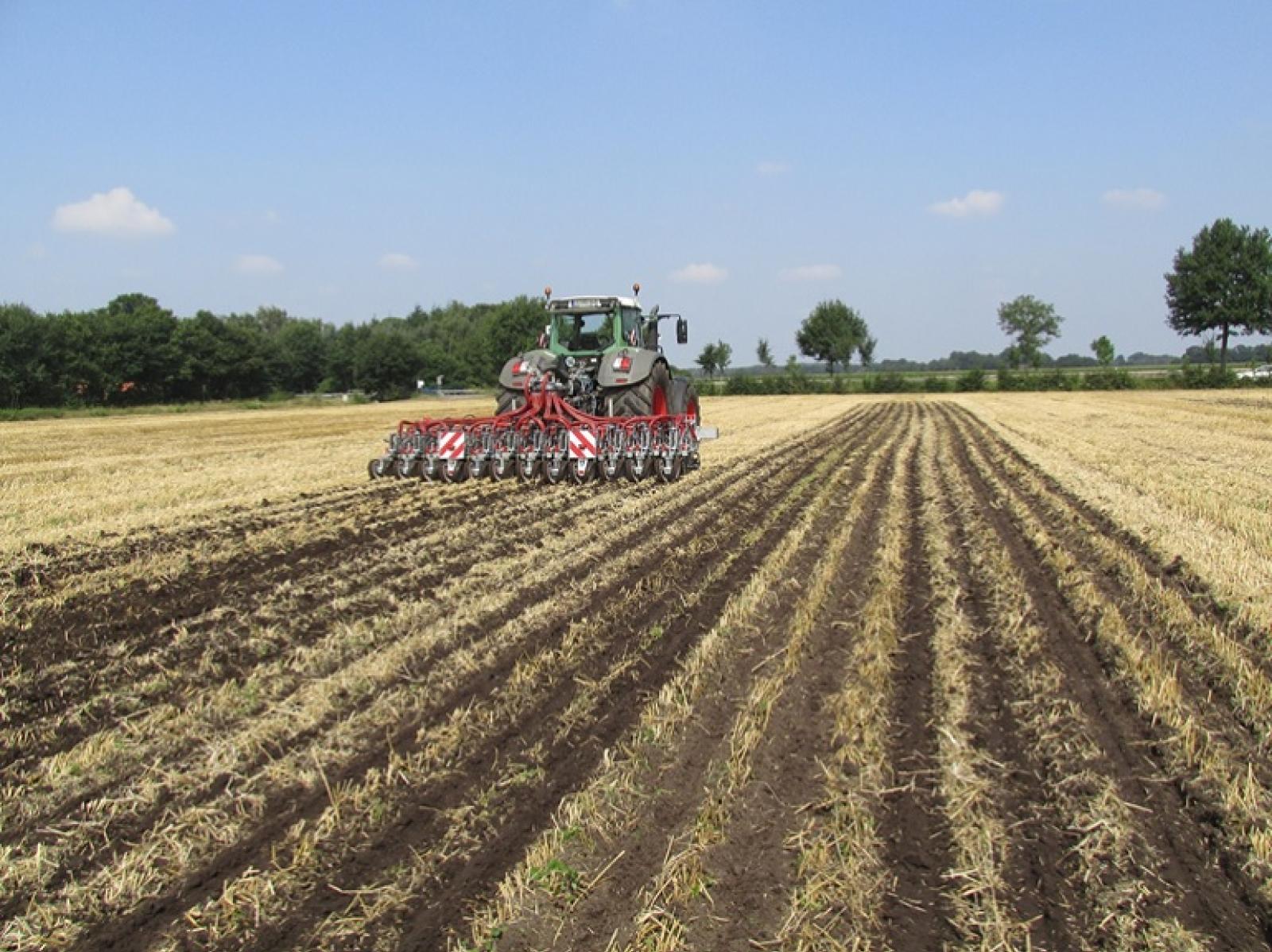 "Caldo, raccolto a rischio"