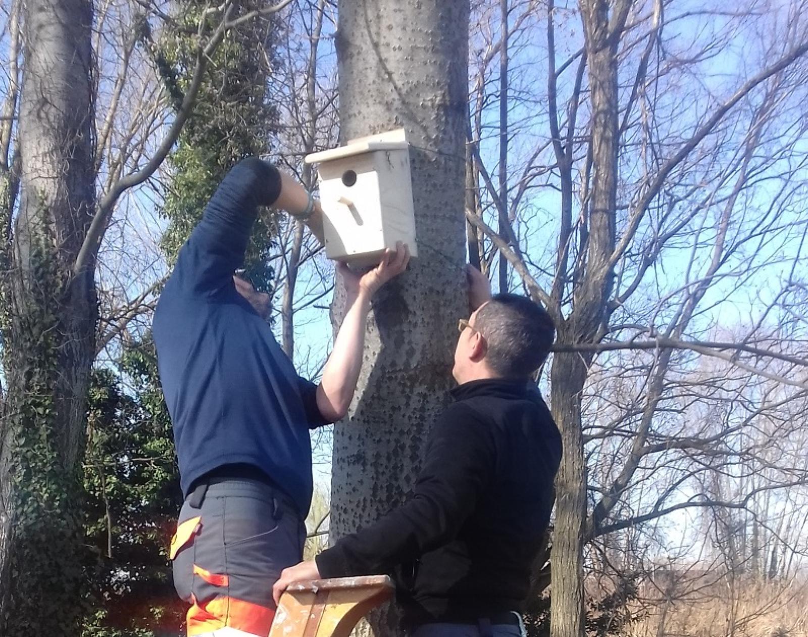 Rifugi per gli uccellini nel parco della scuola