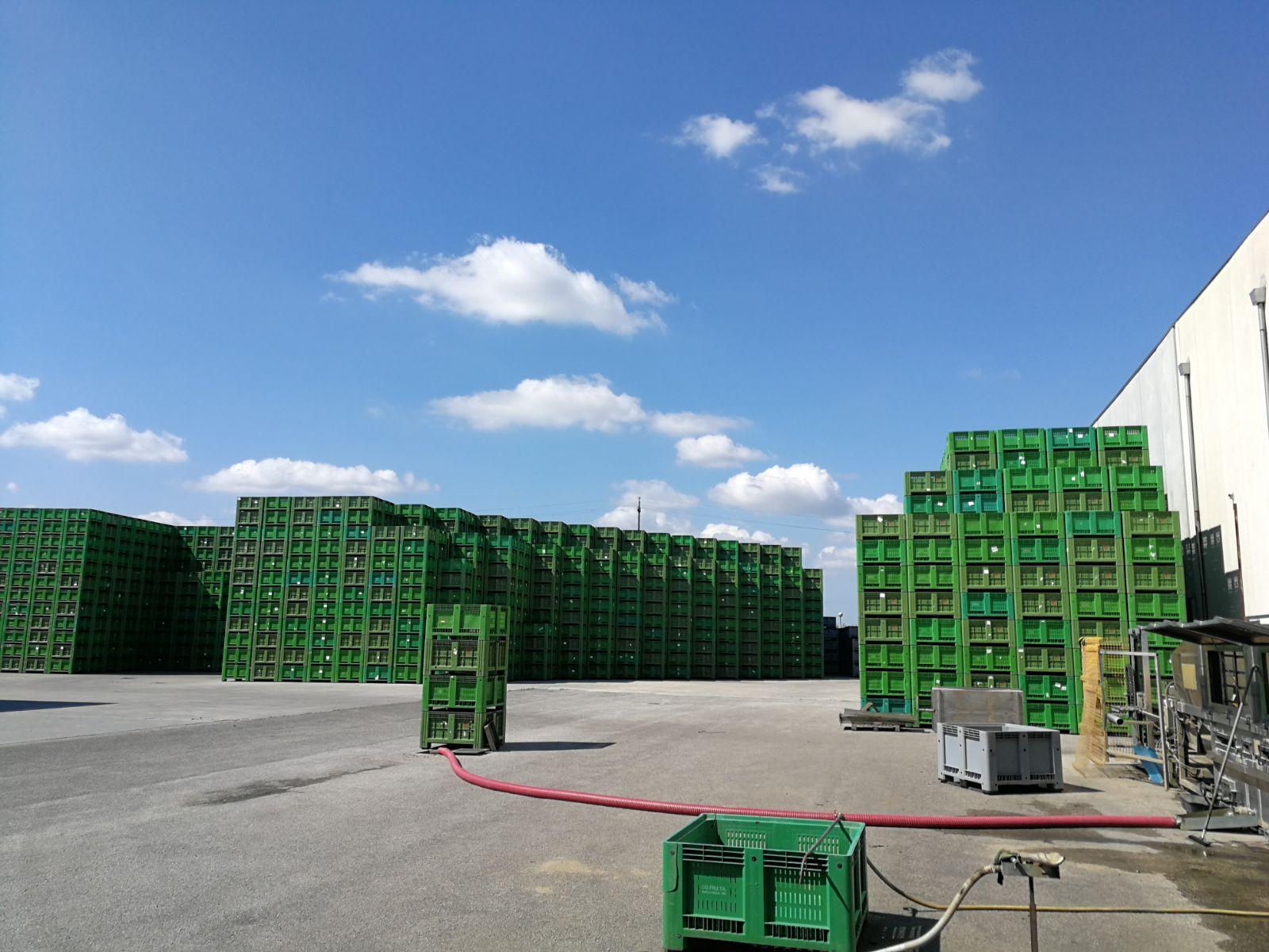 Brexit, &ldquo;danni su tutti i mercati&rdquo;