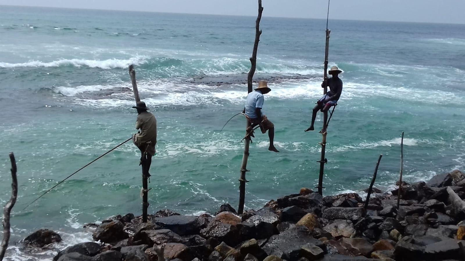 Sri Lanka, isola che risplende