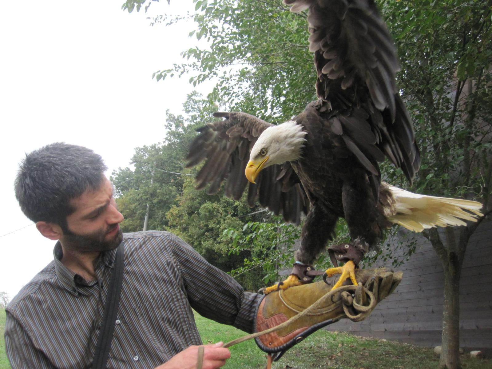 Il governo boccia la legge veneta sui falchi