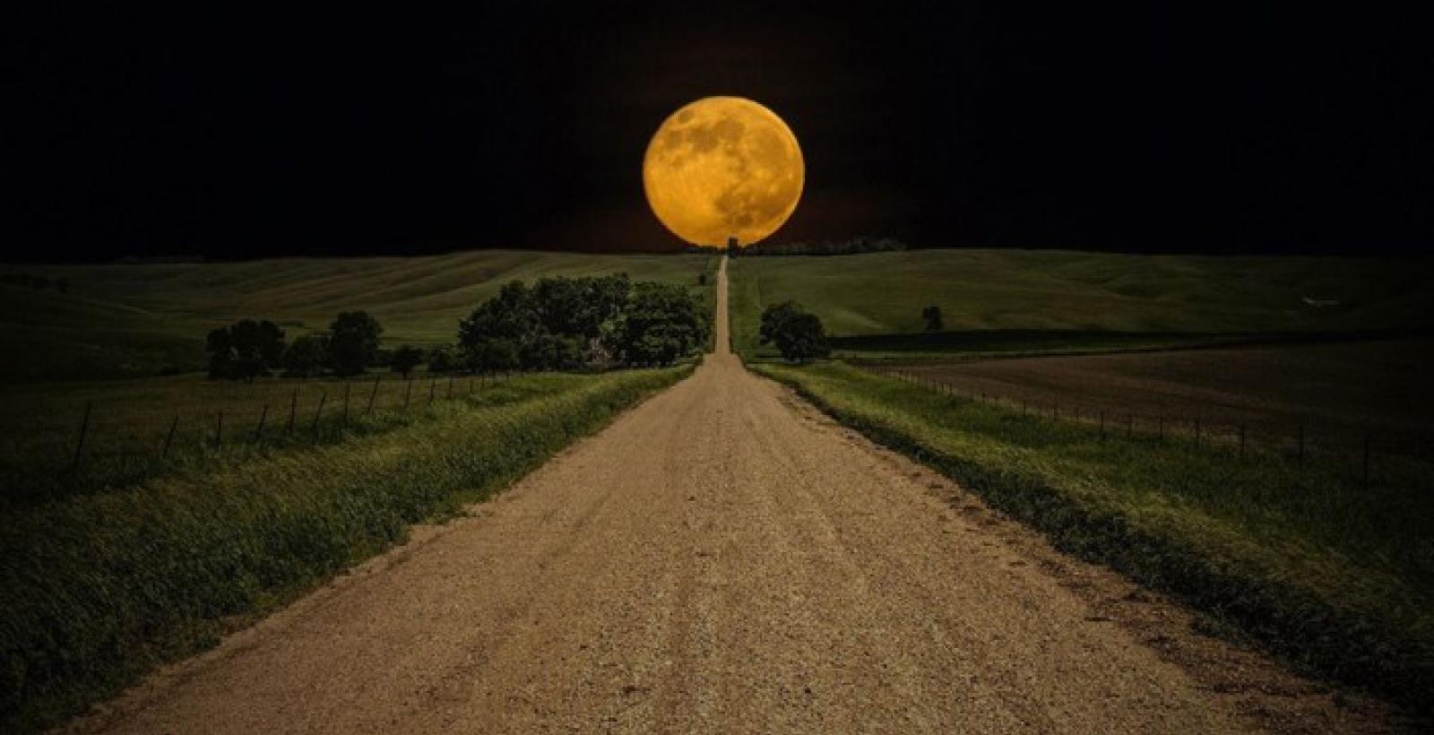 "Il Grande Passo" made in Polesine