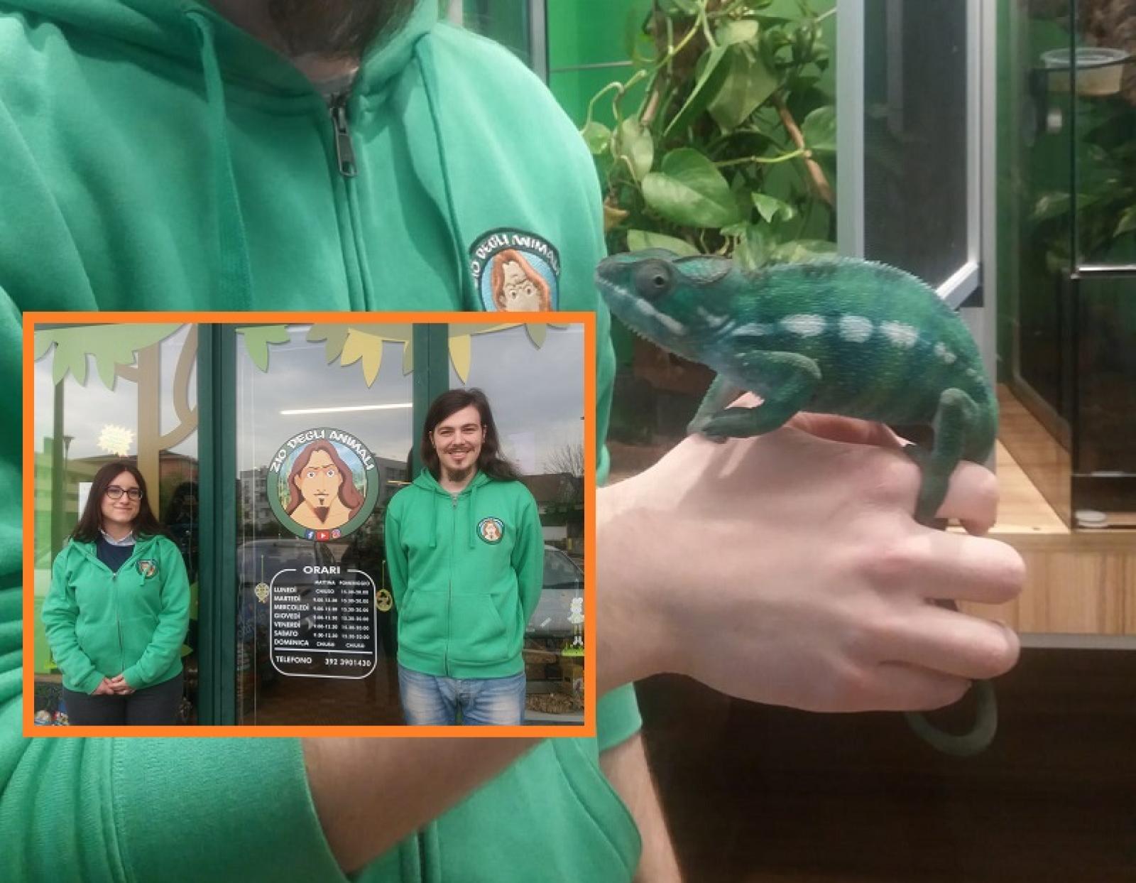 Il negozio che non ti aspetti