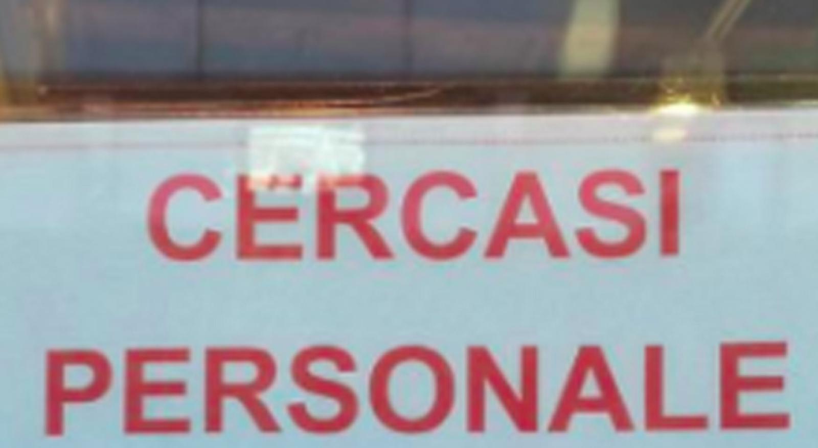 75 nuove offerte di lavoro a Rovigo