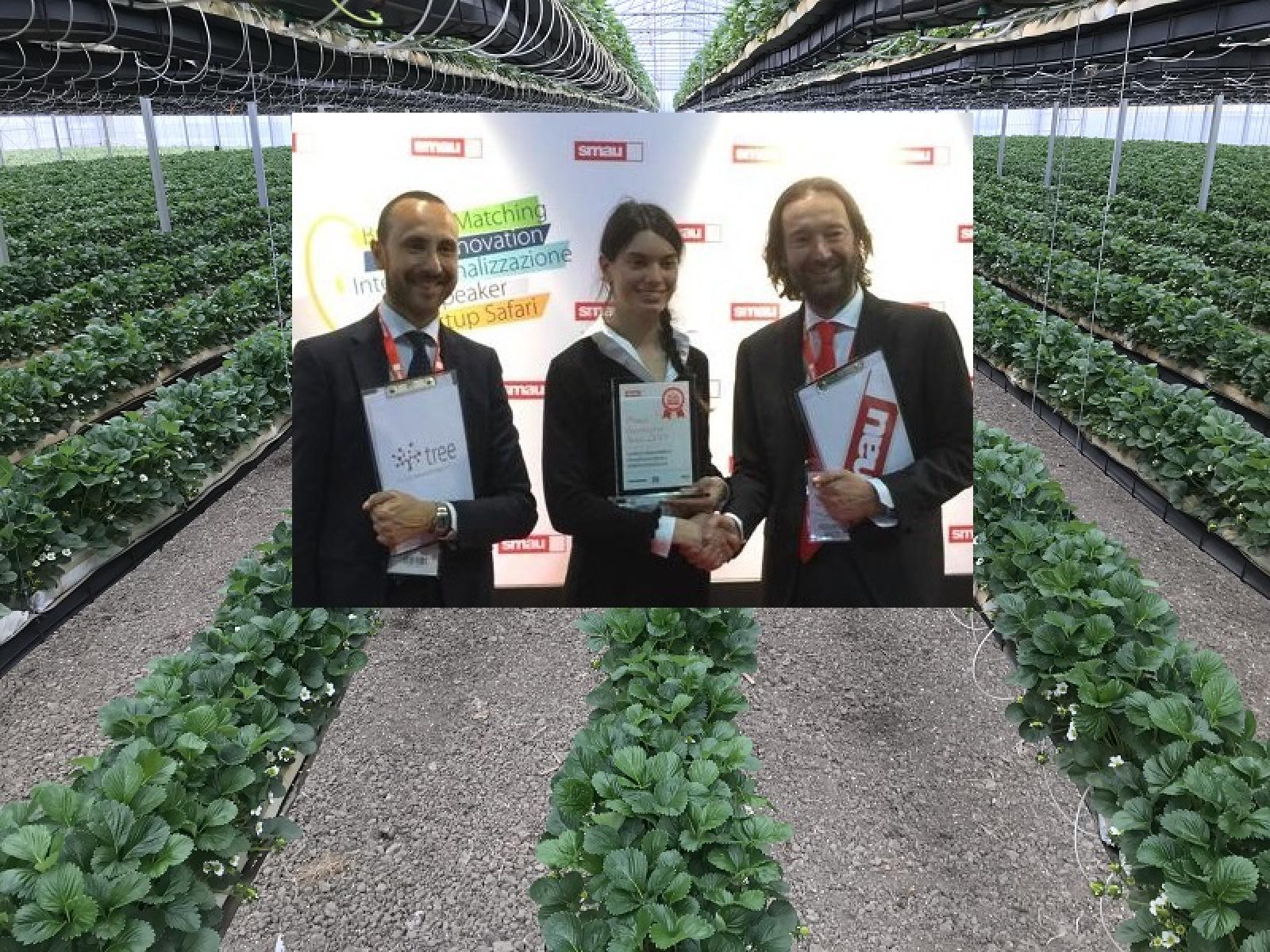 Sofia, 22 anni, polesana, ha inventato la super serra per le fragole