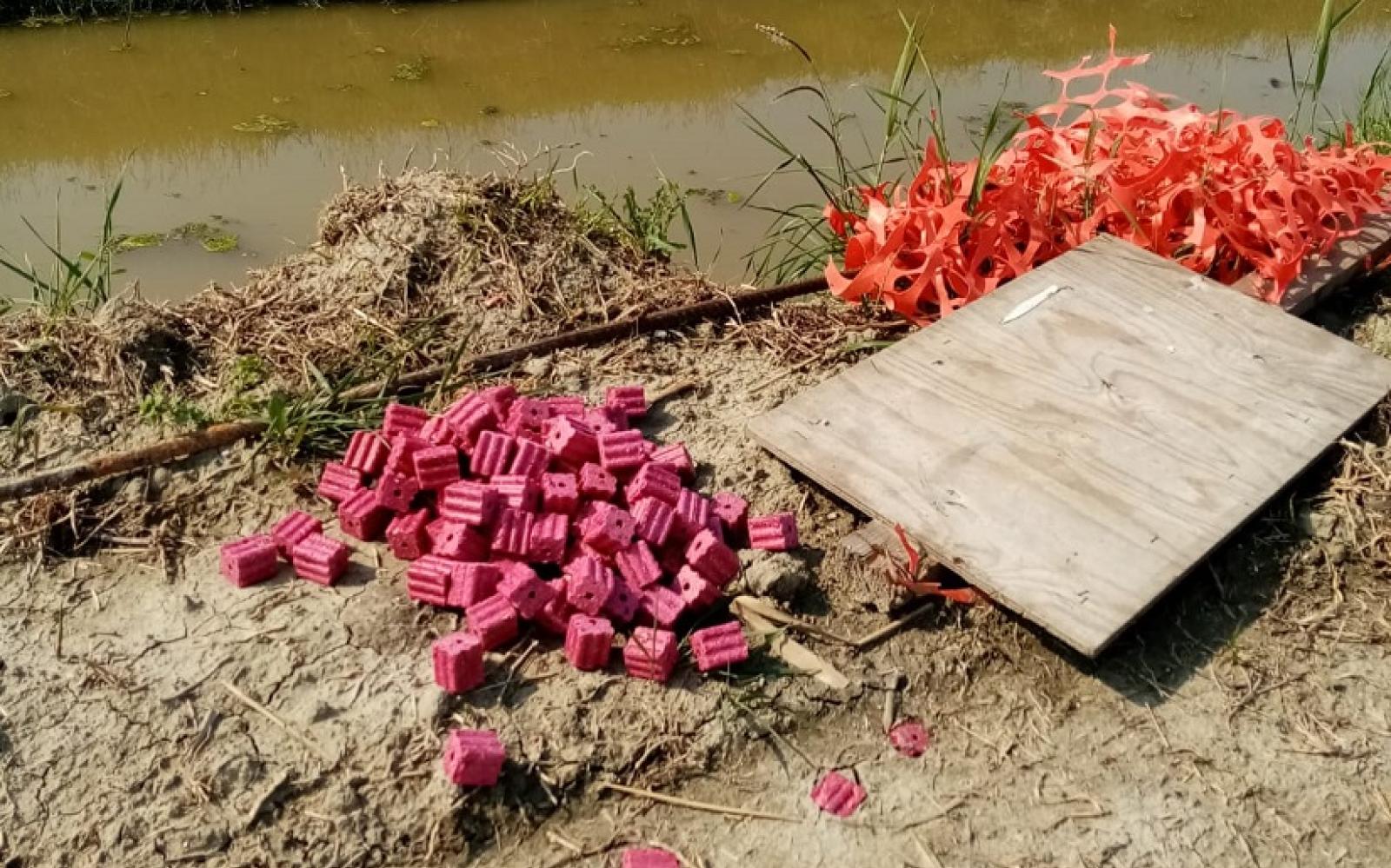 Allarme esche avvelenate: "messe per nutrie, uccidono cani, gatti e selvatici"