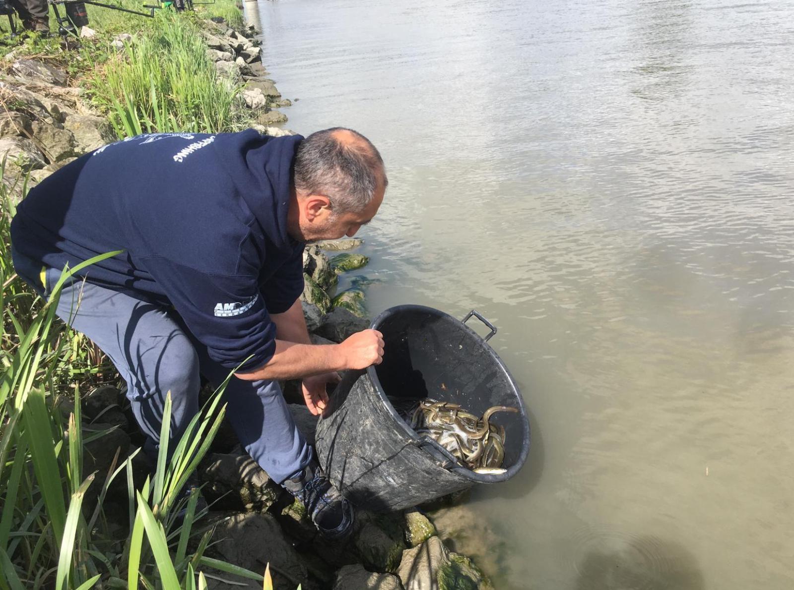 Nuova vita nelle nostre acque: liberati 190 chili di pesce